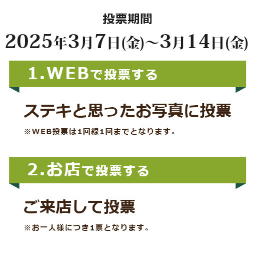 WEB投票